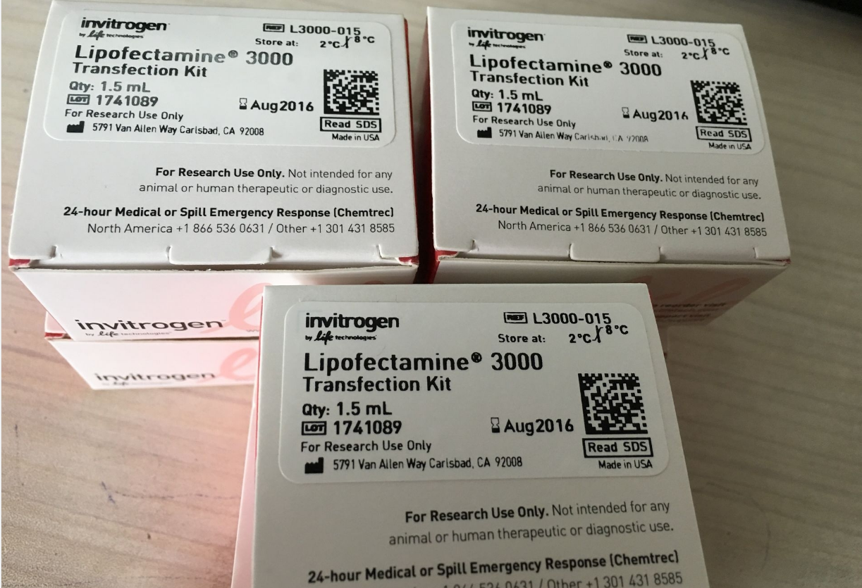 L3000-008脂质体3000 0.75ml Invitrogen